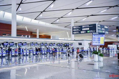 投运一周年,天府国际机场成绩单来了 保障旅客超1000万人次,货邮吞吐量超5.6万吨